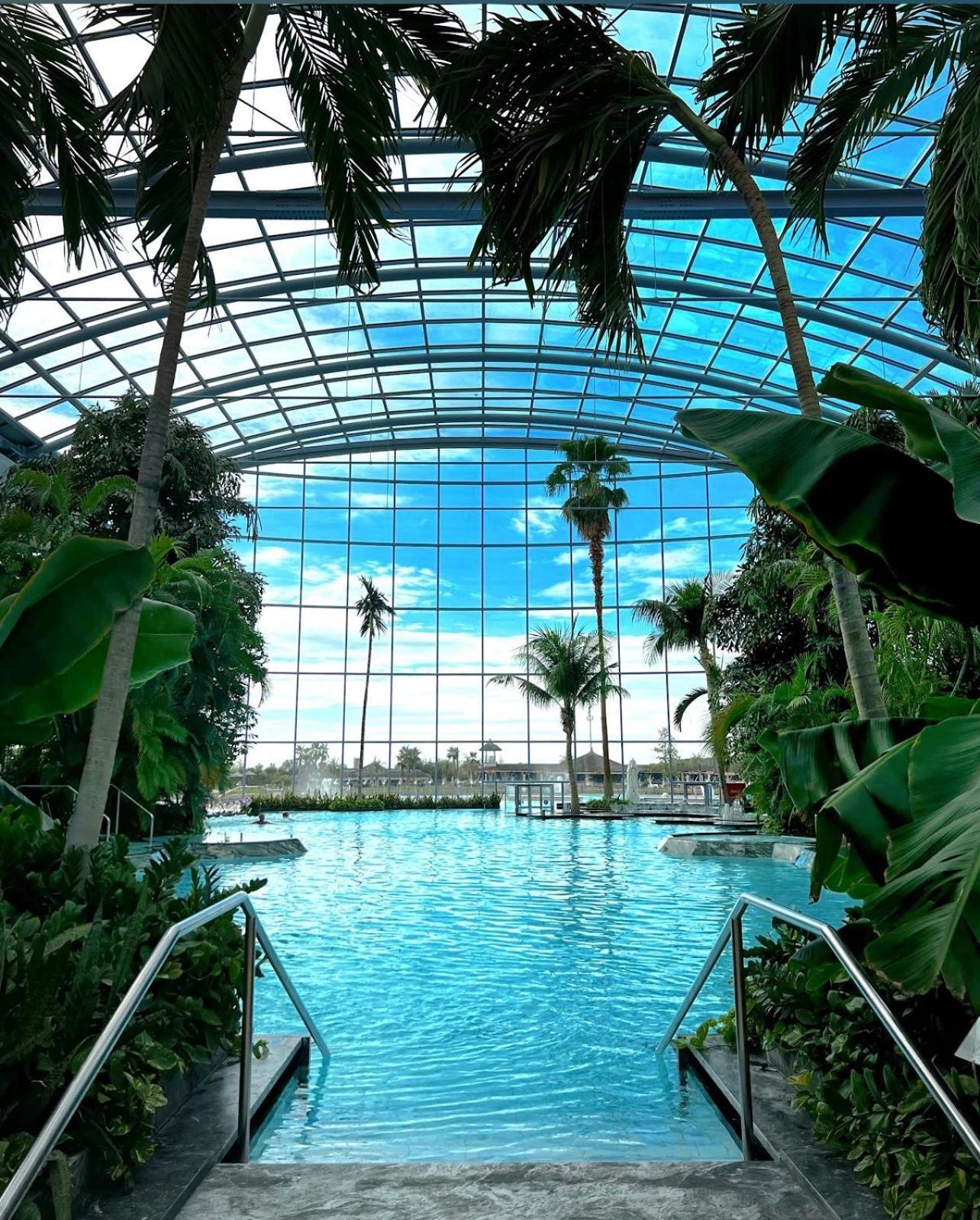 Mona Apartment Taxi#Airport #Parking#Bucharest#Therme Otopeni Ngoại thất bức ảnh